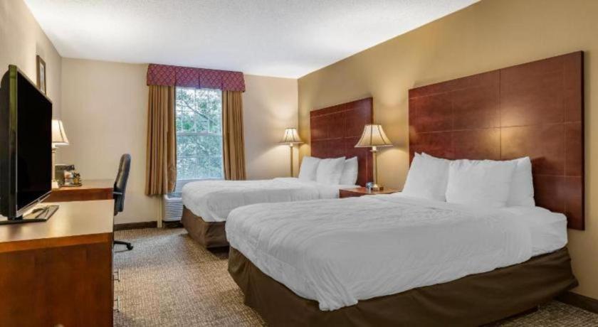 Hotel Comfort Foxboro - Mansfield