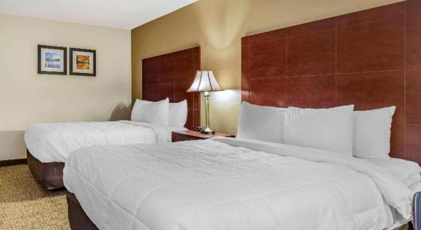 Comfort Foxboro - Mansfield Hotel Foxborough
