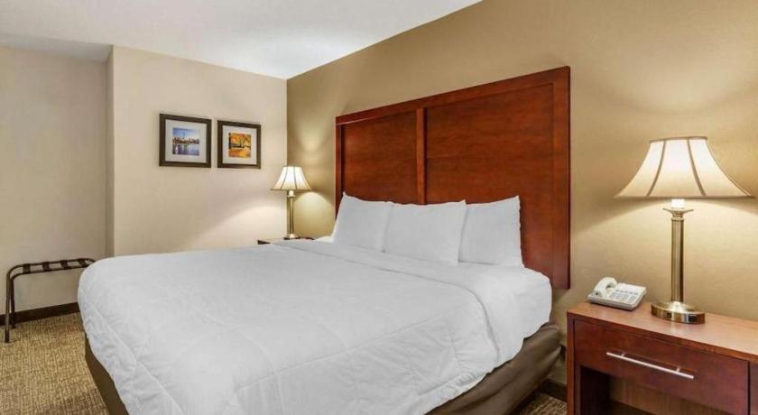 Comfort Foxboro - Mansfield Hotel Foxborough